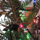 Image for article titled Best Xmas Tree Ever Has All the Sci-Fi Decorations You Can Imagine